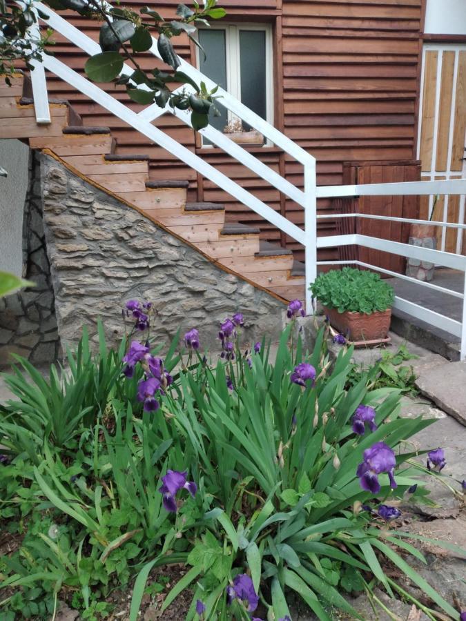 Lo Scoiattolo Bed & Breakfast Giaveno Екстериор снимка